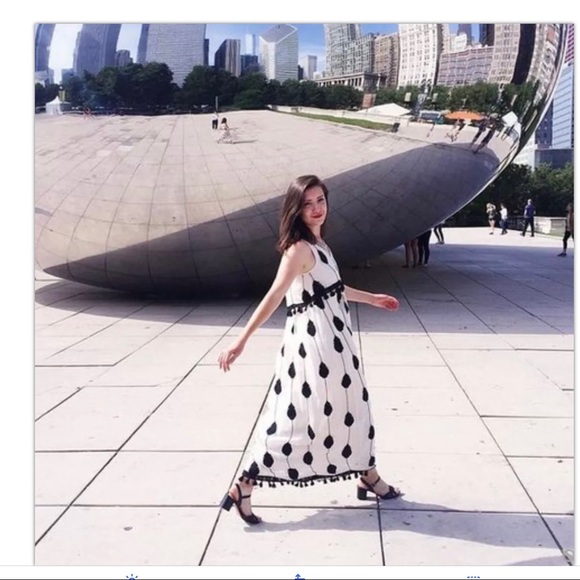 Anthropologie Embroidered Medallion Maxi Dress Sz 0 Retail $268 NWT - Picture 7 of 8